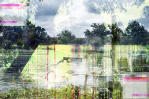 SDIM0626-www